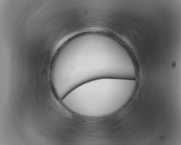 X0000110971412200907022234