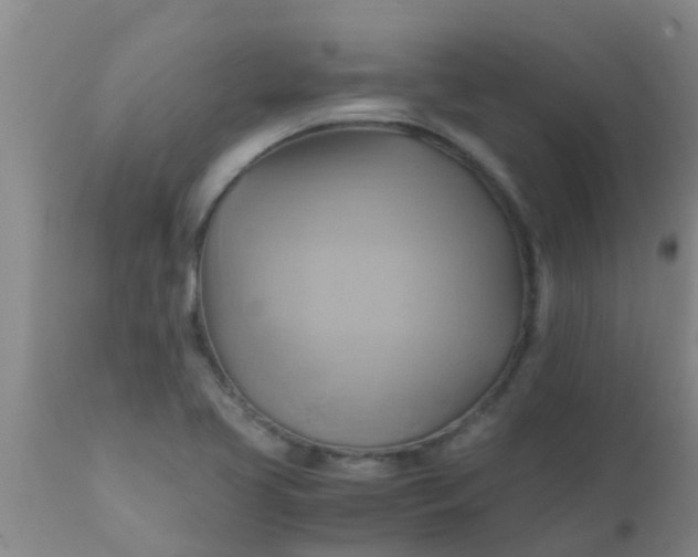 X0000110971413200907022234