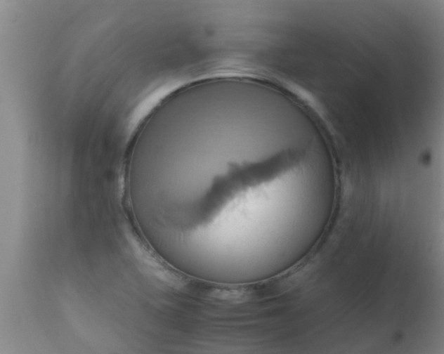 X0000110971415200907022234