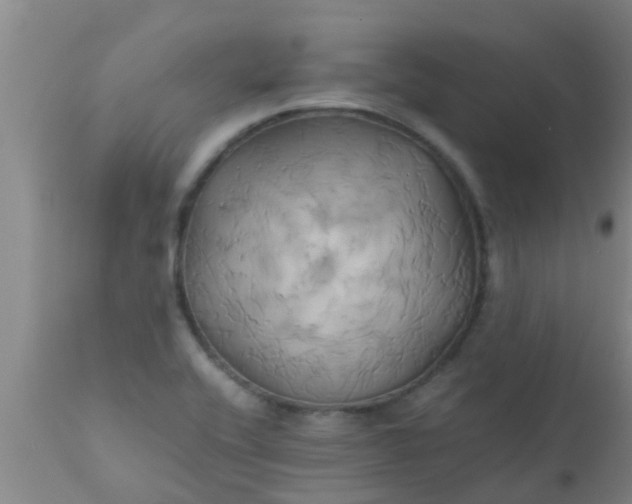 X0000110971416200907022234