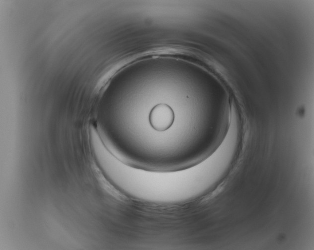 X0000110971417200907022234