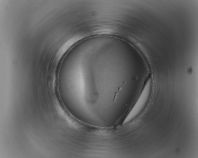 X0000110971418200907022234