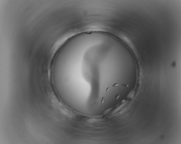 X0000110971419200907022234