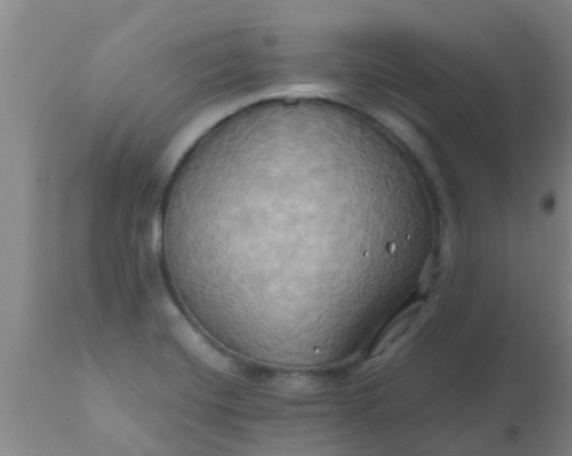 X0000110971420200907022234