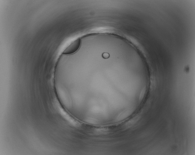 X0000110971421200907022234