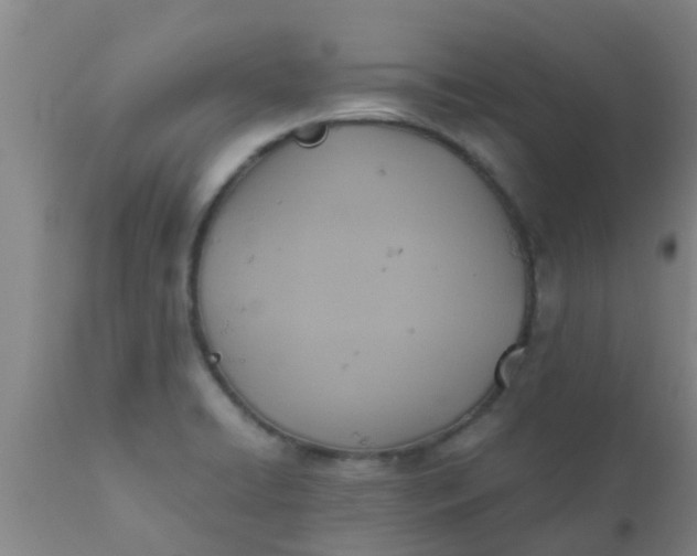 X0000110971422200907022234