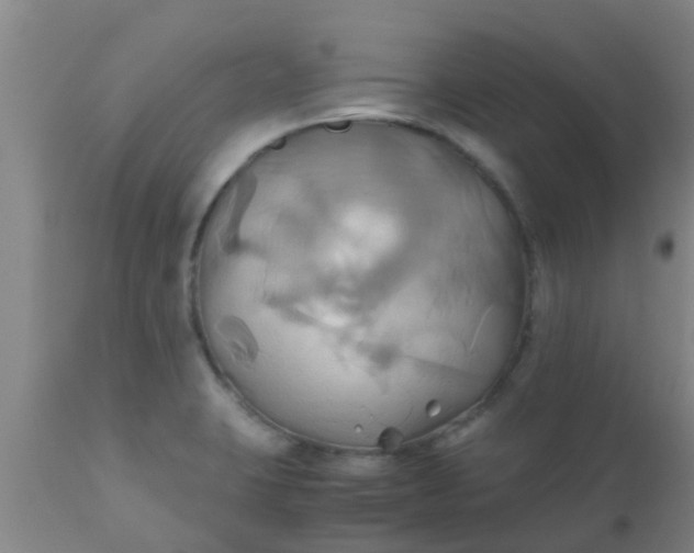 X0000110971423200907022234