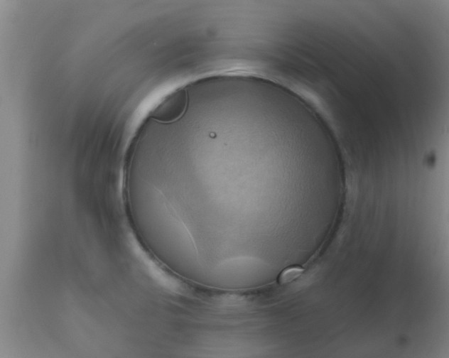 X0000110971424200907022234