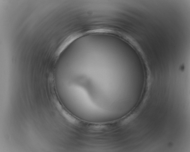 X0000110971425200907022234