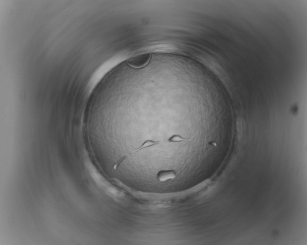 X0000110971426200907022234