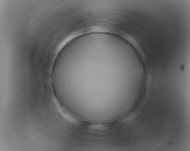 X0000110971427200907022234