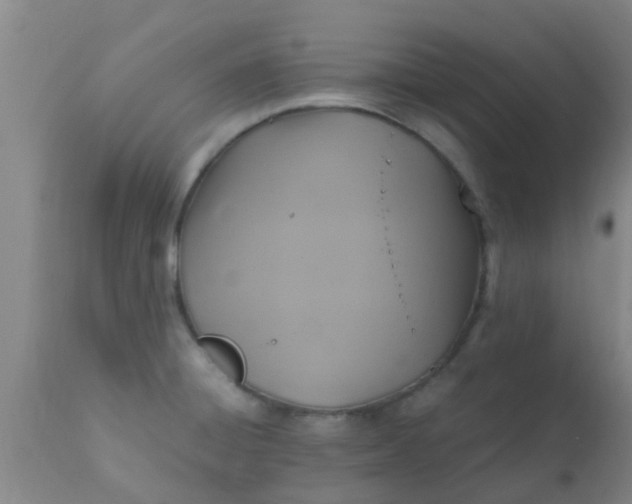 X0000110971428200907022234