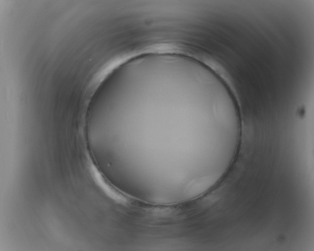 X0000110971429200907022234