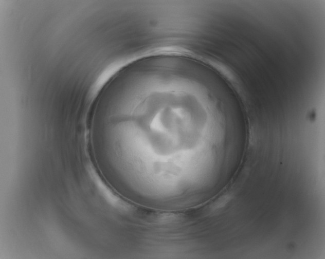 X0000110971430200907022234