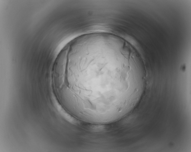 X0000110971431200907022234