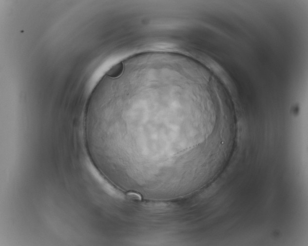 X0000110971432200907022234