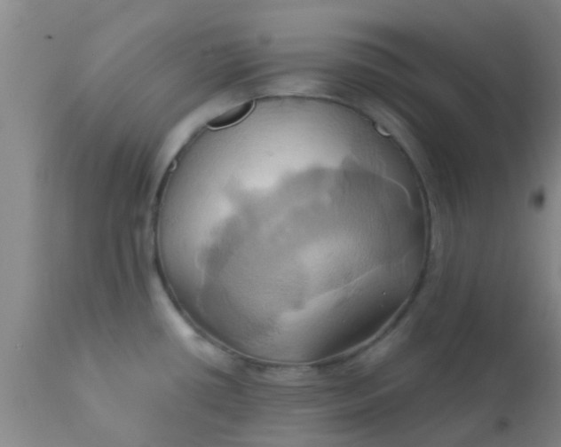 X0000110971434200907022234