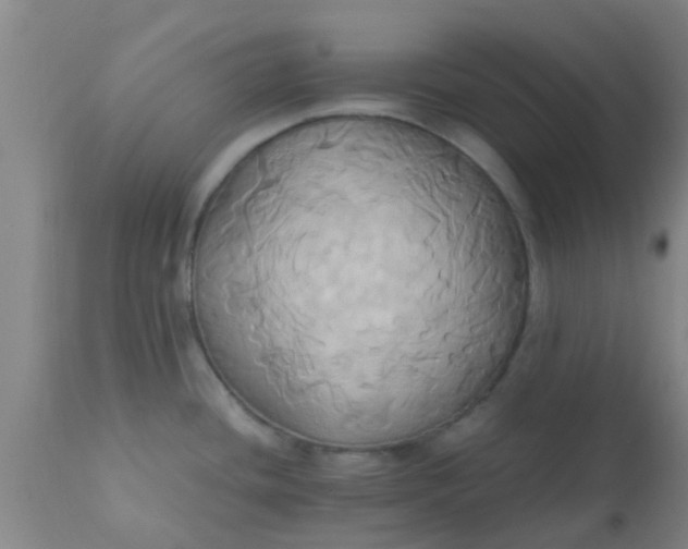 X0000110971436200907022234