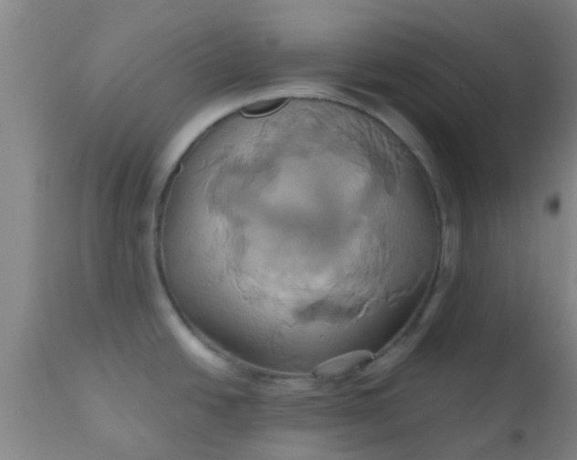 X0000110971438200907022234