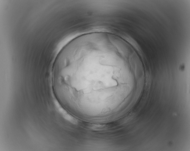 X0000110971439200907022234