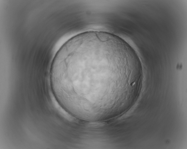 X0000110971440200907022234