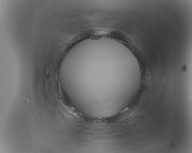 X0000110971441200907022233