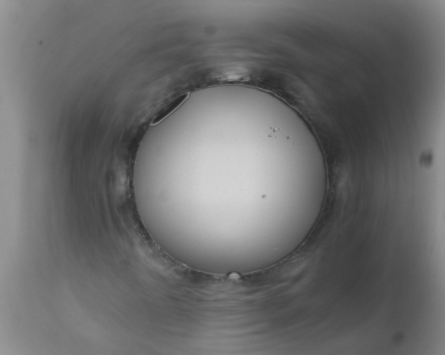 X0000110971442200907022233