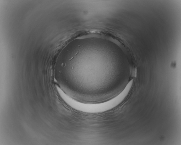 X0000110971443200907022233