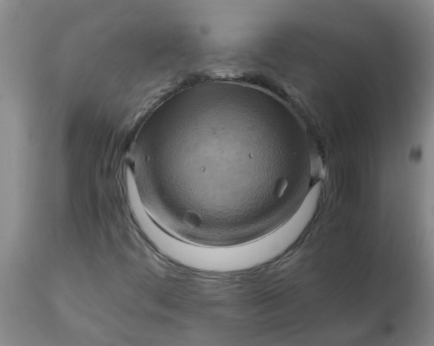 X0000110971444200907022233