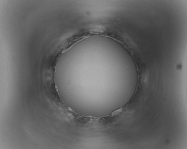 X0000110971445200907022233