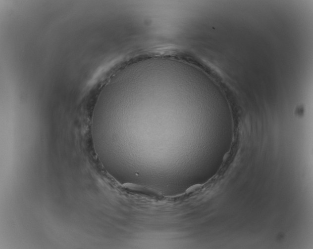 X0000110971447200907022233