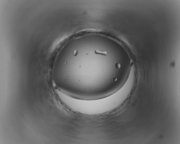 X0000110971448200907022233