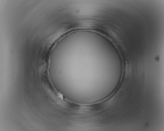 X0000110971449200907022233