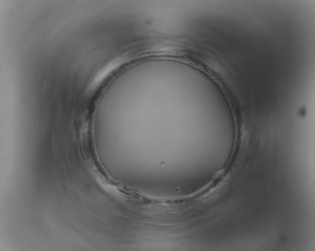 X0000110971450200907022233