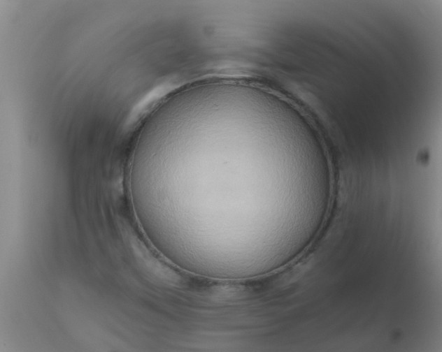 X0000110971451200907022233