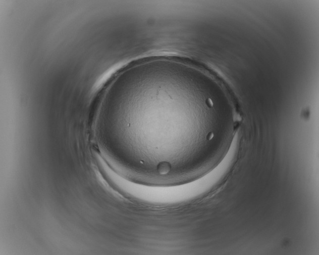 X0000110971452200907022233