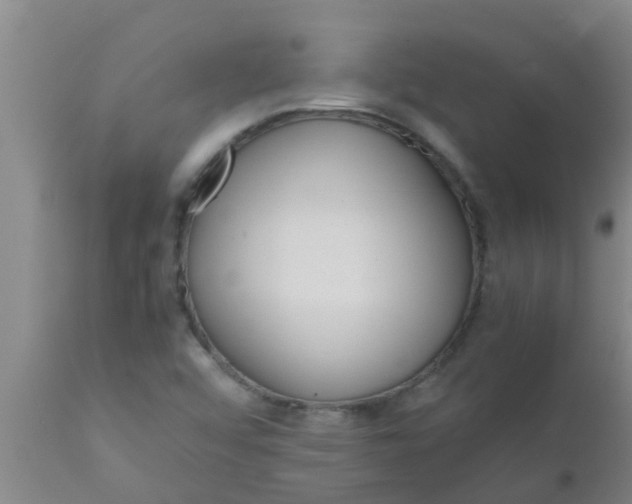 X0000110971456200907022233