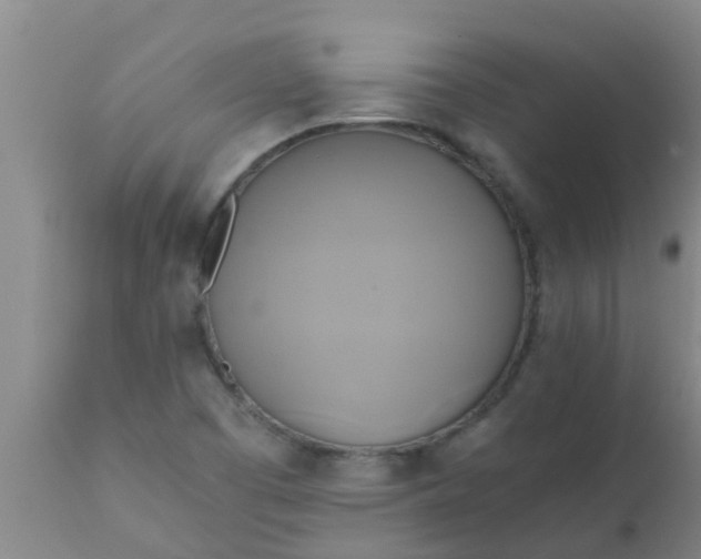 X0000110971457200907022233