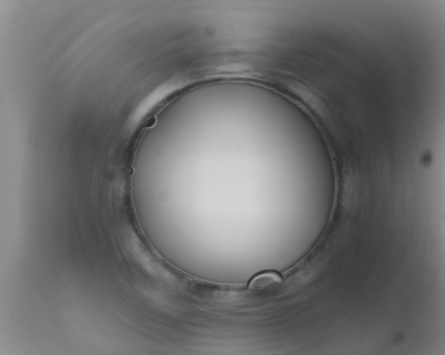 X0000110971458200907022233