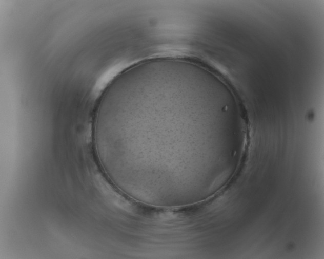 X0000110971459200907022233