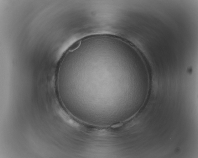 X0000110971460200907022233