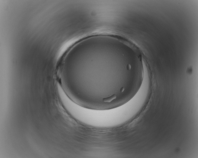 X0000110971461200907022233