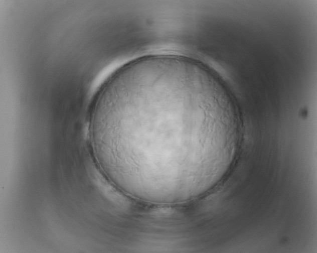 X0000110971462200907022233