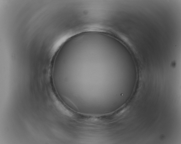 X0000110971463200907022233