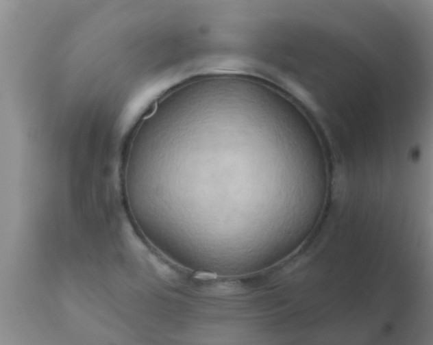 X0000110971464200907022233