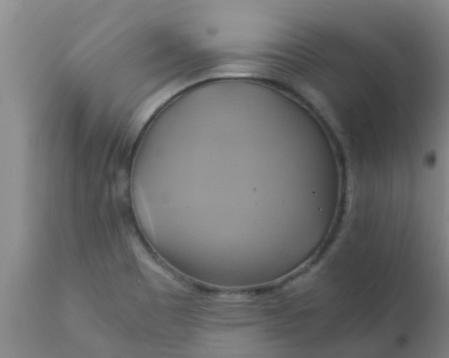 X0000110971465200907022233