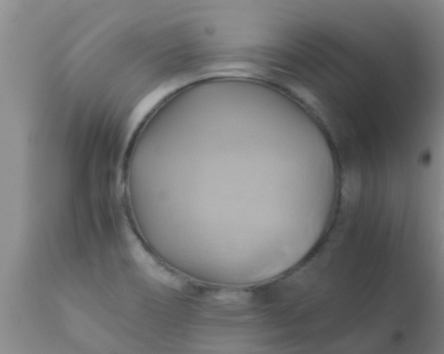 X0000110971466200907022233