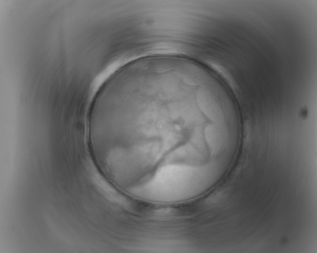 X0000110971467200907022233