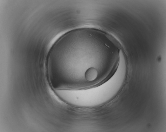 X0000110971468200907022233