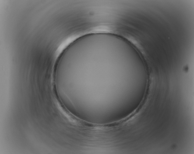 X0000110971469200907022233